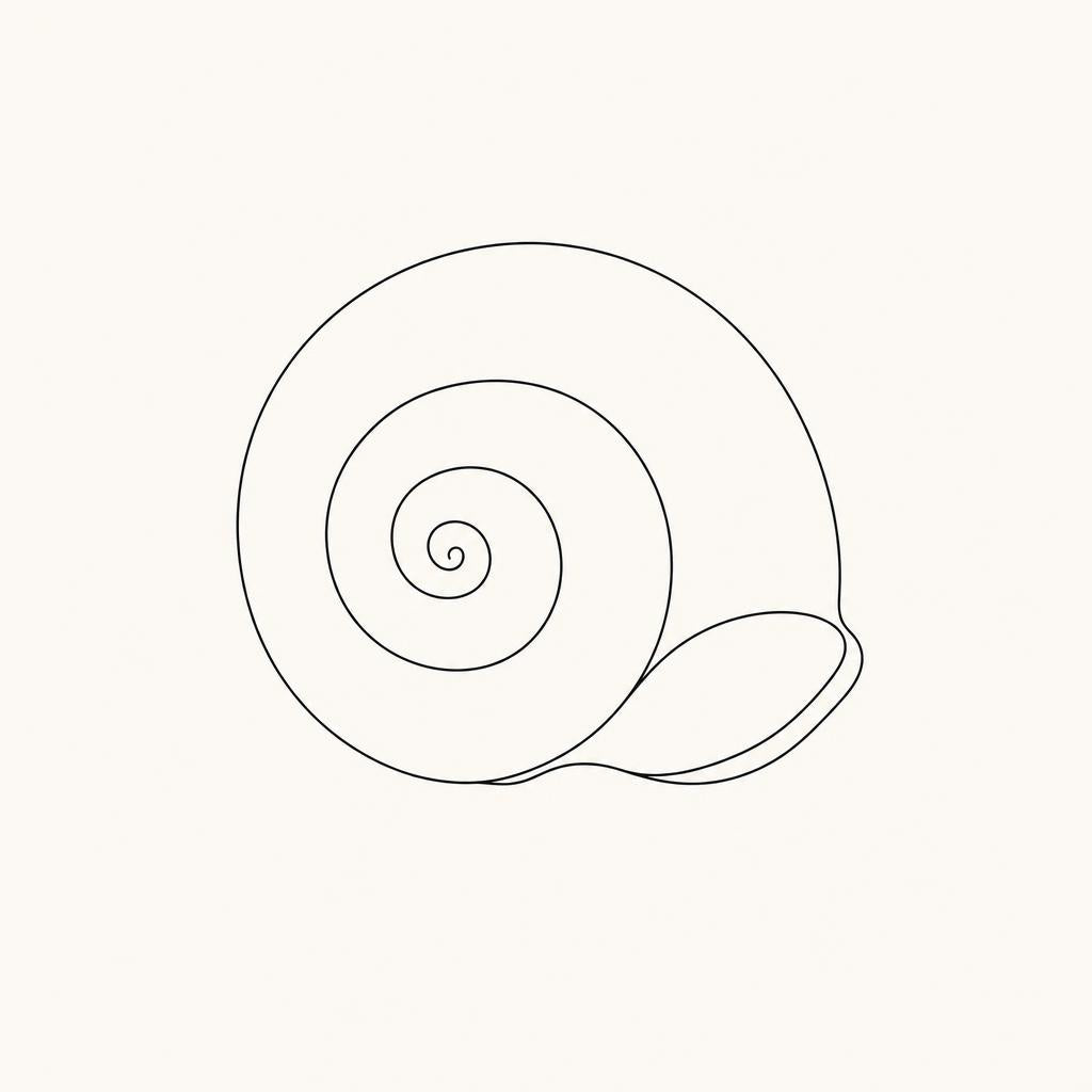 Baba de caracol